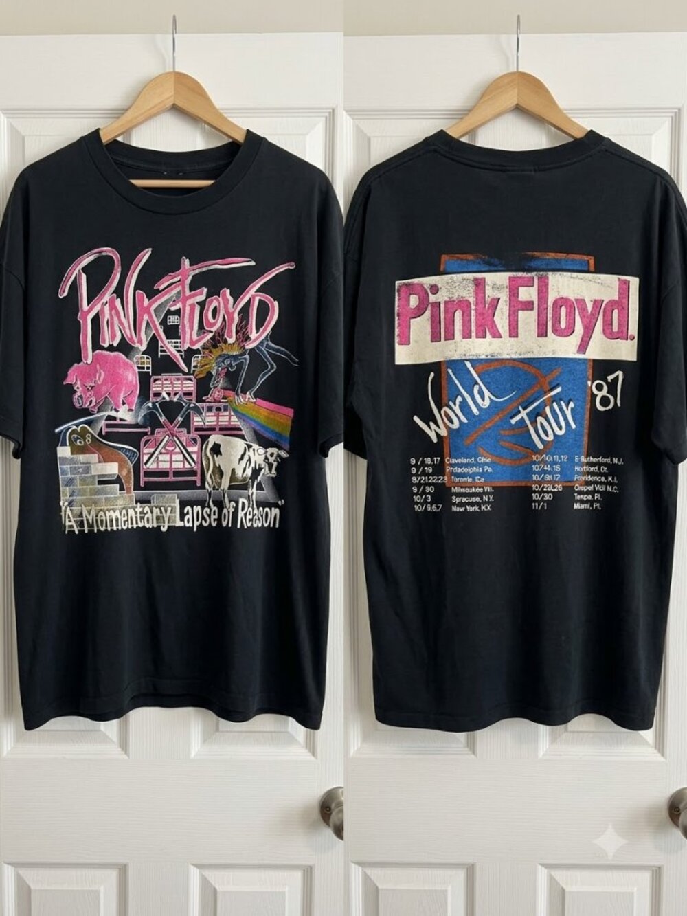 Pink Floyd "A Momentary Lapse of Reason" (1987) Tshirt reprint
